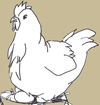 huhn